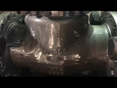 Válvula de verificação de balanço para vapor de água e uso de óleo