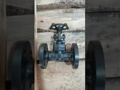 Válvula de porta forjada de aço fundido de aço inoxidável para óleo de vapor de água / líquidos corrosivos